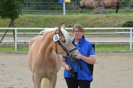 NÖ Materialprüfung